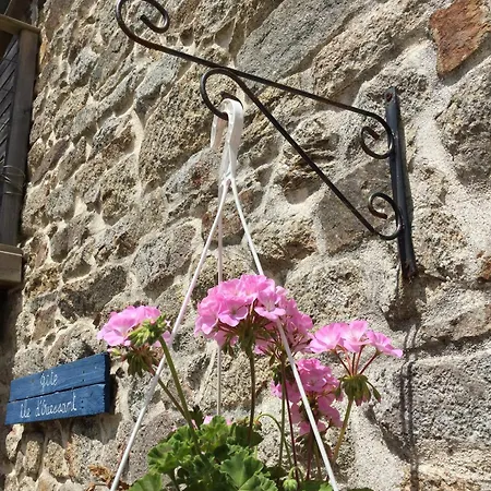 Holiday home Avec Piscine-cap Sizun Confort-Meilars